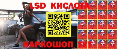 прущие грибы Лесосибирск