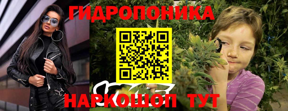 Бошки марихуана гибрид  Бошки марихуана семена  Усть-Илимск  Вход с VPN  Бошки марихуана AK-47 